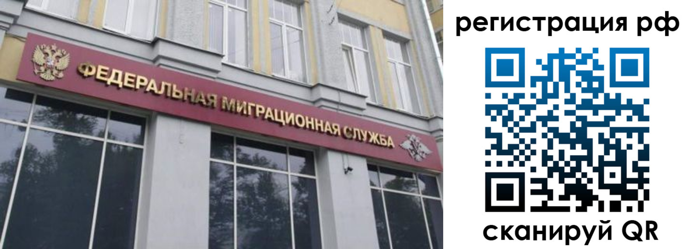 прописка законно в Волоколамске